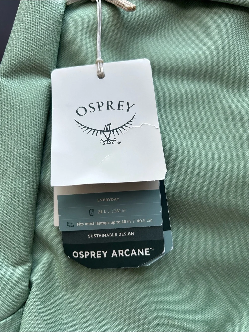 OSPREY Arcane Large Day Backpack in Botanica Heather (Green)